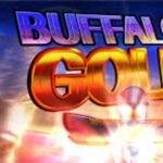 how to play buffalo gold slot machine
